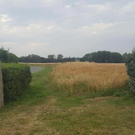 Gite 3 Places Au Coeur Du Tregor Langoat 外观 照片